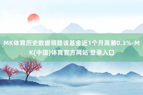 MK体育历史数据领路该基金近1个月高潮0.3%-MK(中国)体育官方网站 登录入口